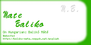 mate baliko business card